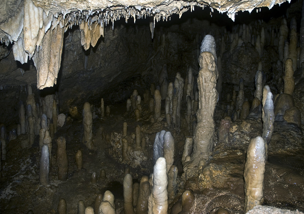 Towering stalagmites and mineral pillars in Harrison's Cave