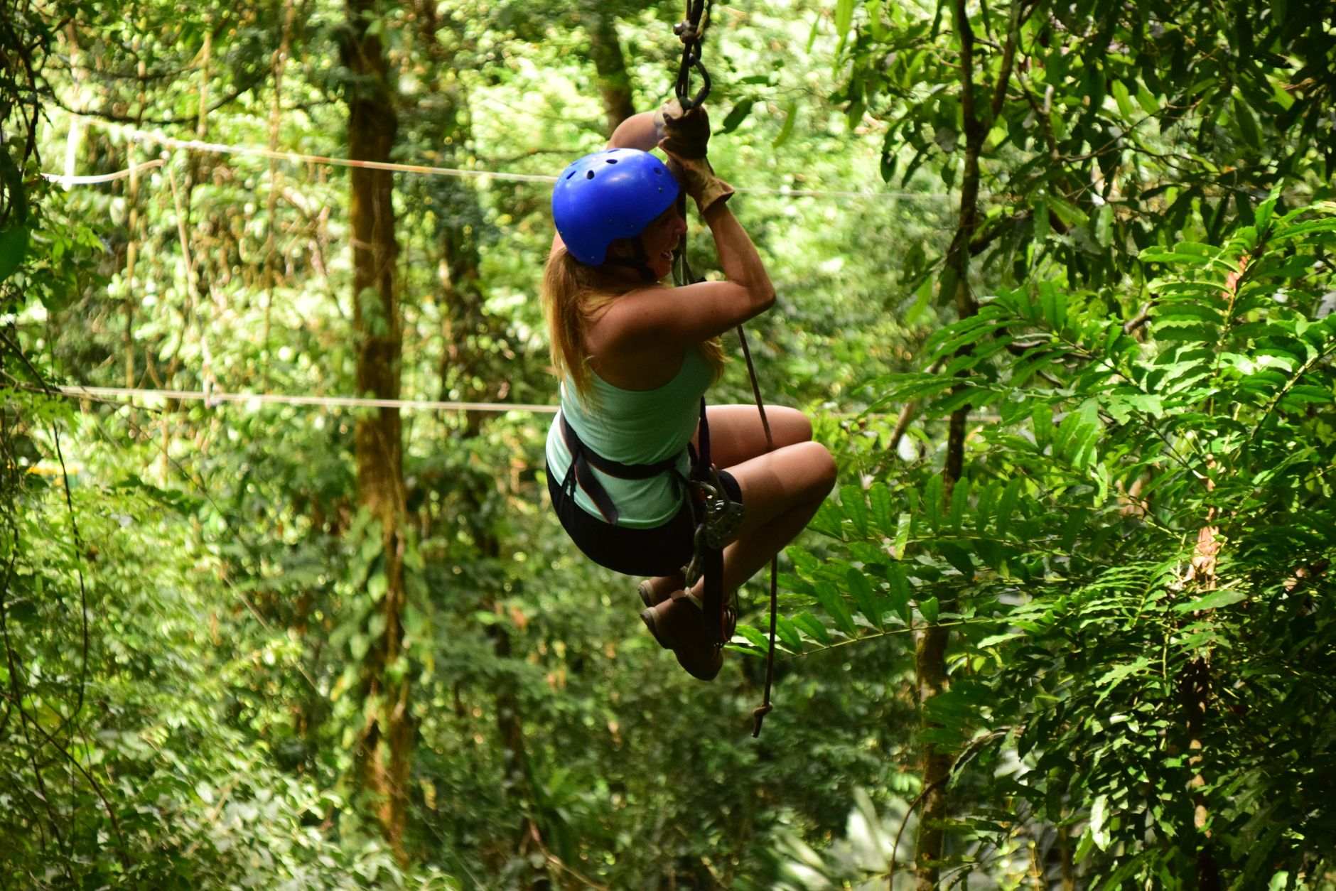Monkey Zipline Canopy and Harrison's Cave Pass